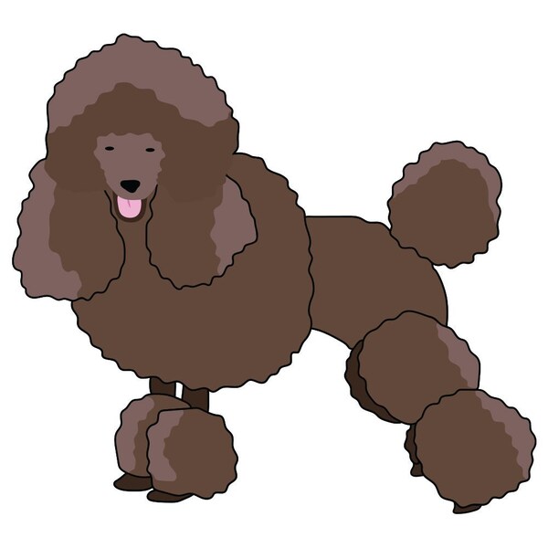 Signmission Miniature Poodle Dog Decal, Dog Lover Decor Vinyl Sticker D-12-Miniature Poodle - main